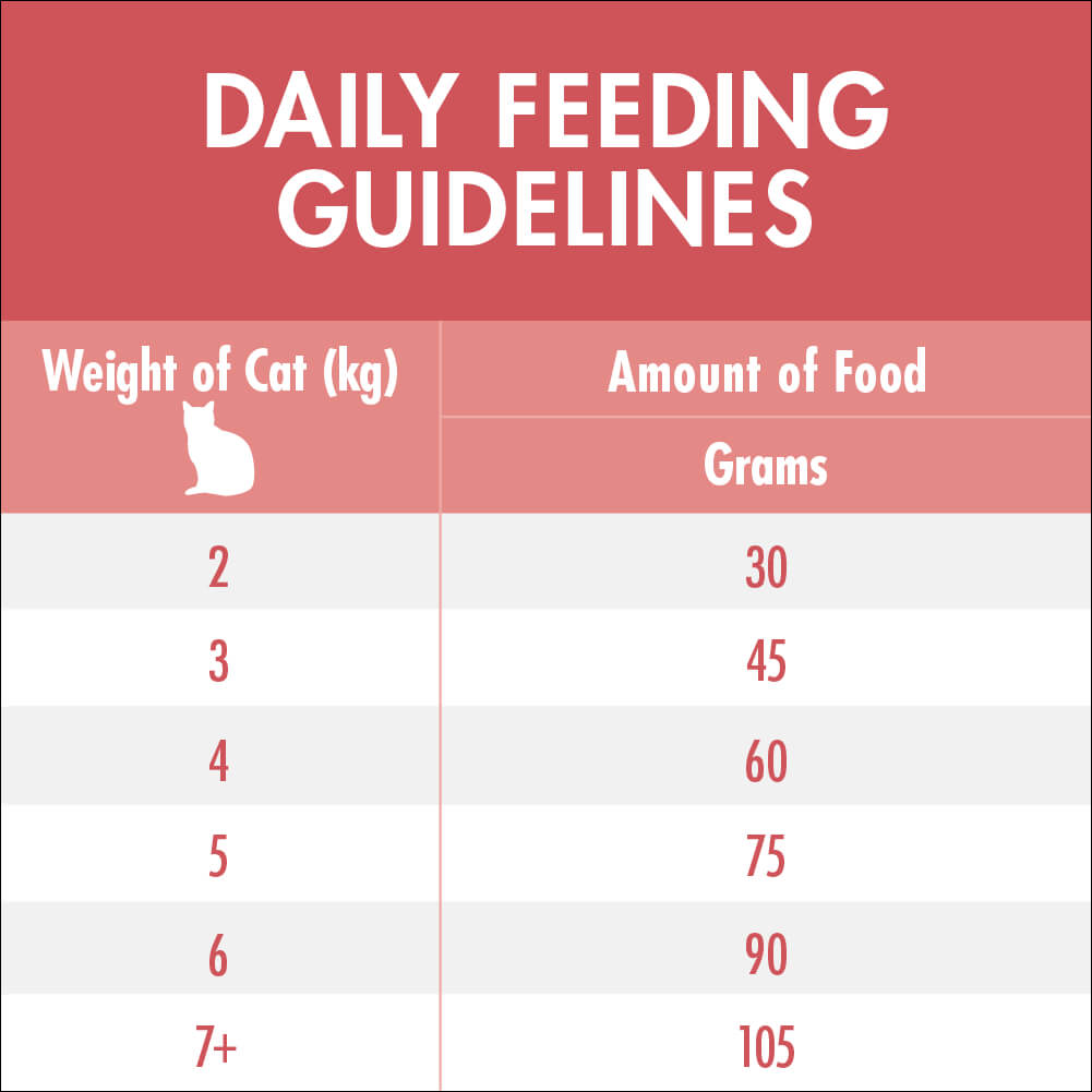 Purina One Adult Salmon and Tuna Dry Cat Food 3Kg - PetPost Australia