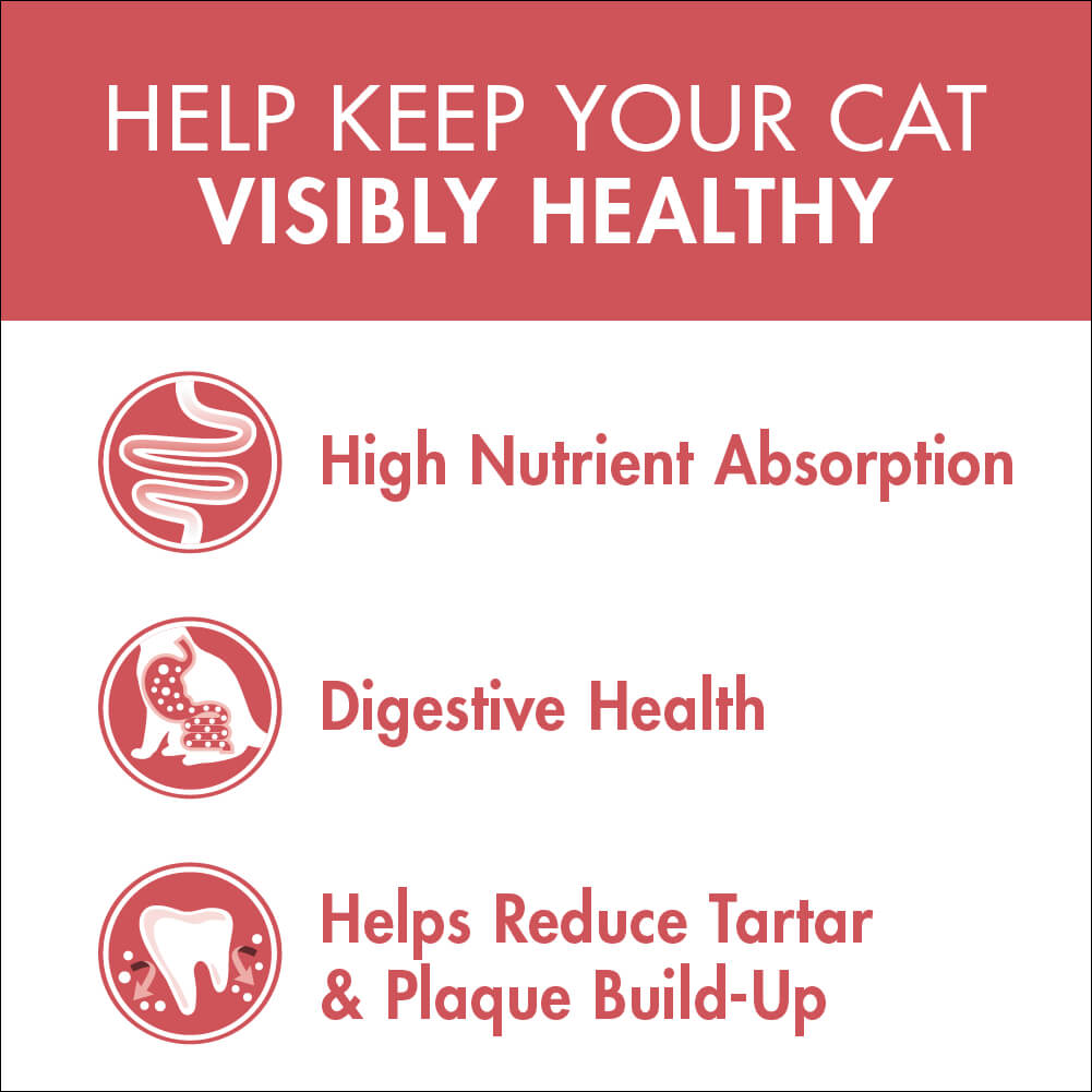 Purina One Adult Salmon and Tuna Dry Cat Food 3Kg - PetPost Australia
