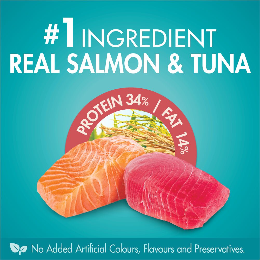 Purina One Adult Sensitive Salmon and Tuna Dry Cat Food 1.4Kg - PetPost Australia