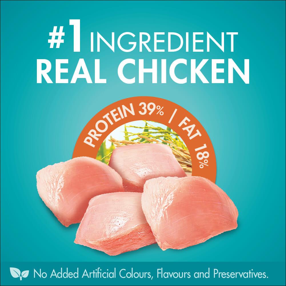 Purina One Adult Urinary Care Chicken Dry Cat Food - PetPost Australia