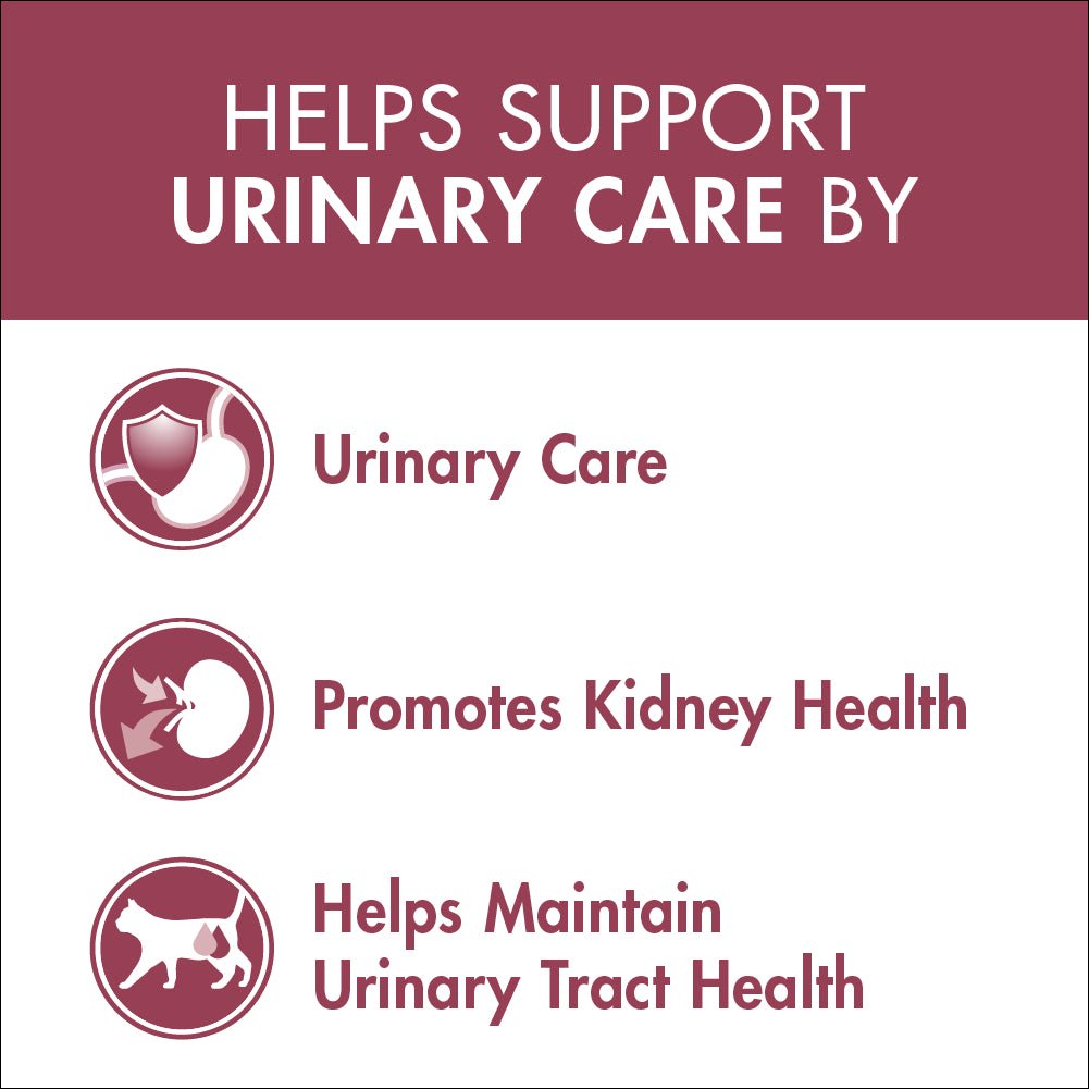 Purina One Adult Urinary Care Chicken Dry Cat Food - PetPost Australia