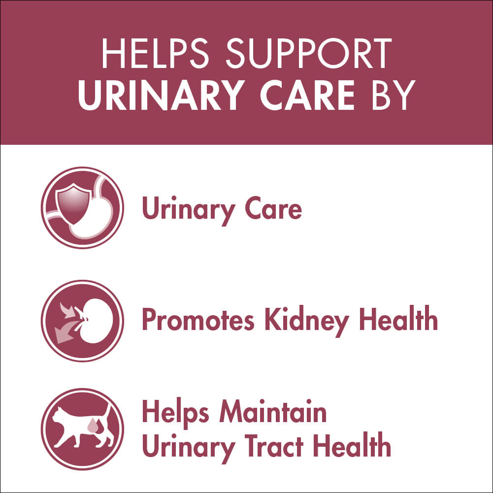 Purina One Adult Urinary Care Chicken Dry Cat Food - PetPost Australia