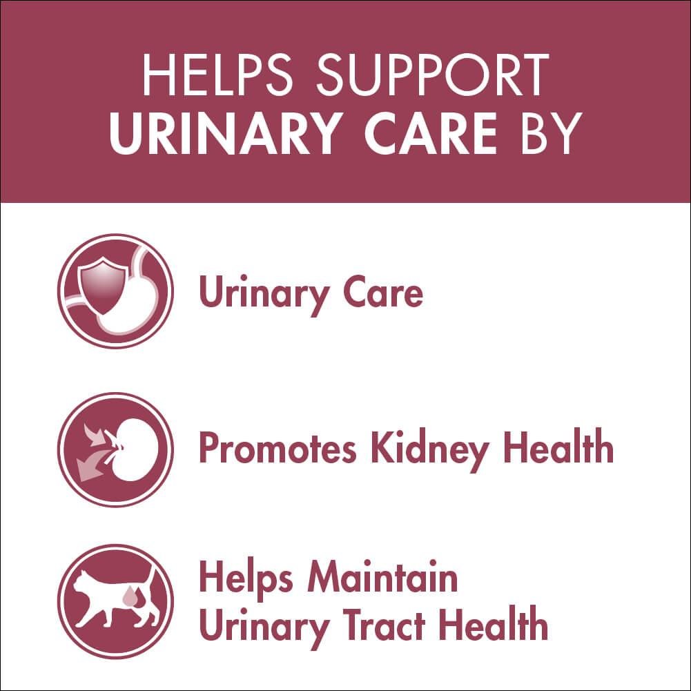 Purina One Adult Urinary Care Chicken Dry Cat Food - PetPost Australia