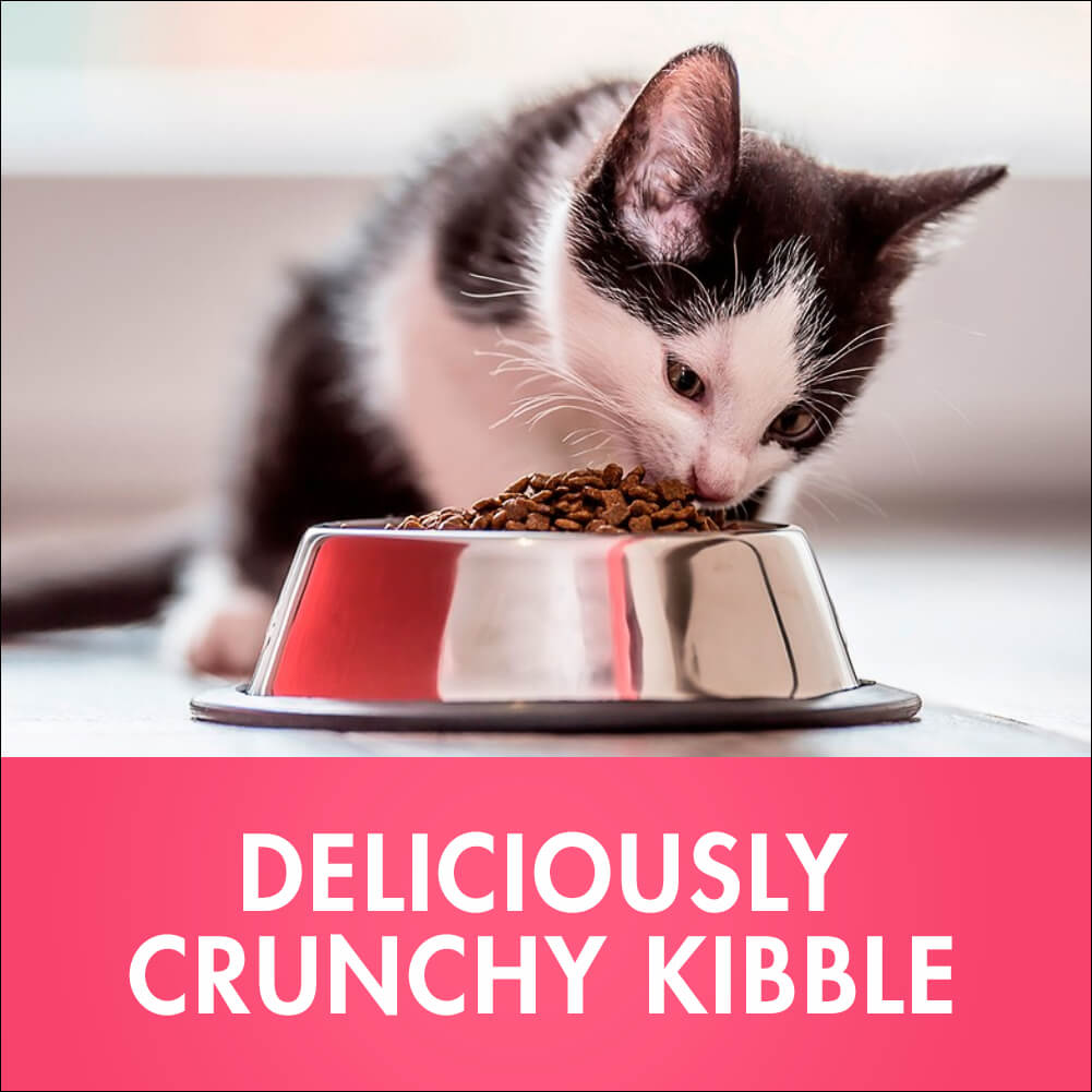 Purina One Kitten Chicken Dry Cat Food 1.4Kg - PetPost Australia