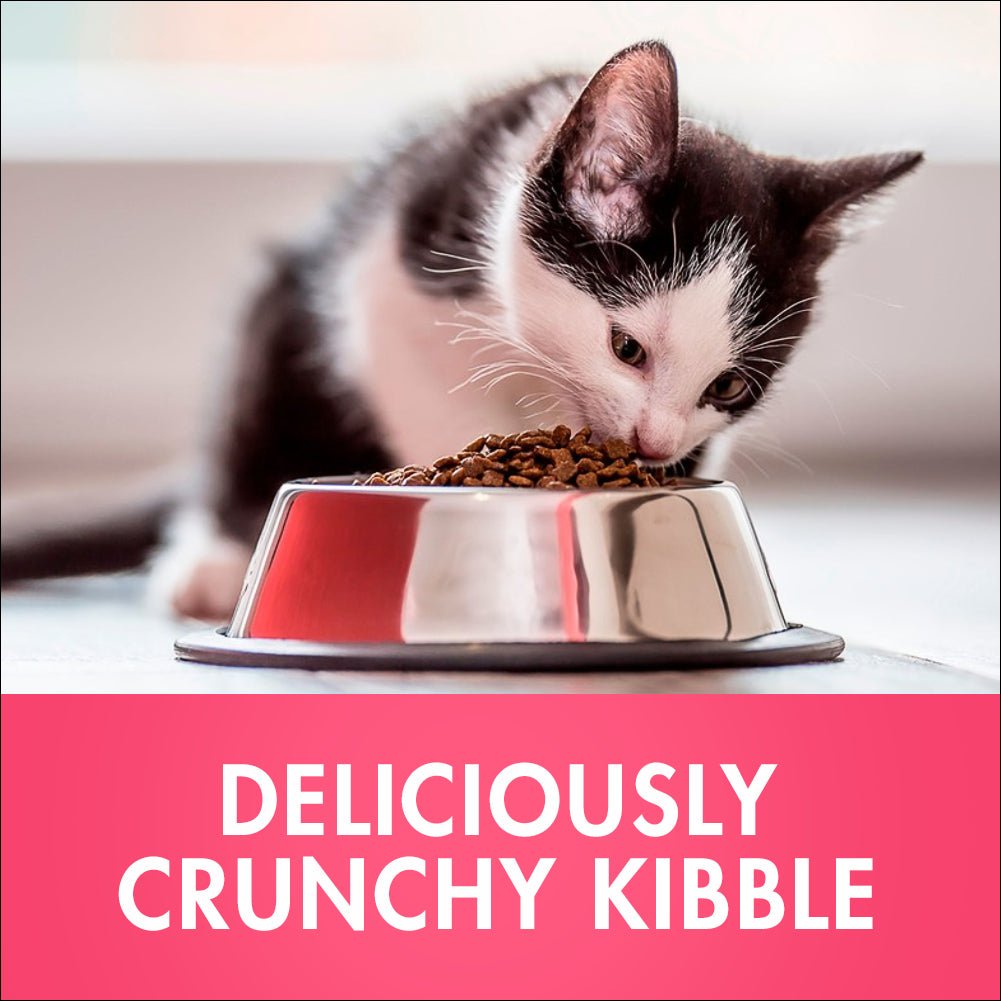 Purina One Kitten Chicken Dry Cat Food 1.4Kg - PetPost Australia