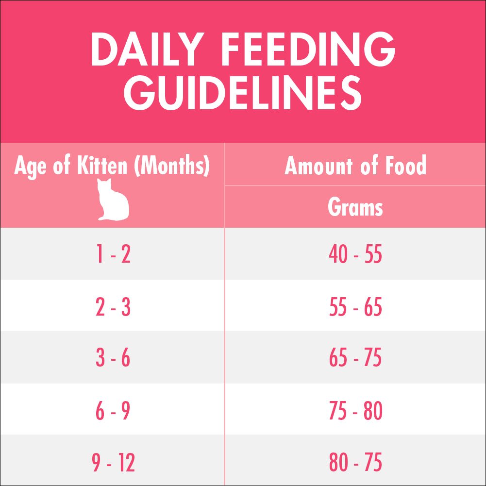 Purina One Kitten Chicken Dry Cat Food 1.4Kg - PetPost Australia