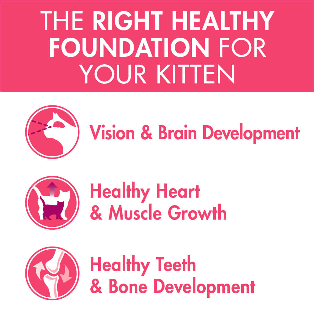 Purina One Kitten Chicken Dry Cat Food 1.4Kg - PetPost Australia