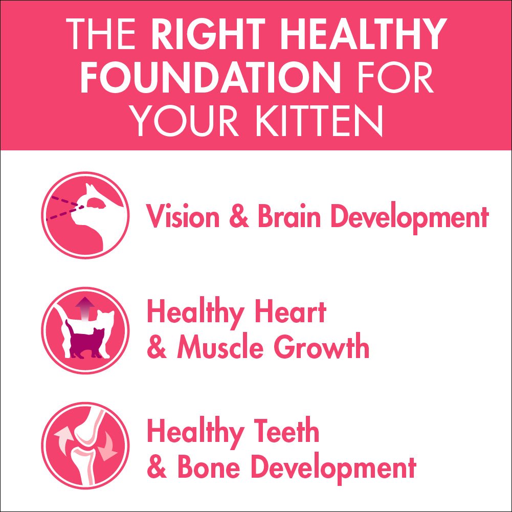 Purina One Kitten Chicken Dry Cat Food 1.4Kg - PetPost Australia