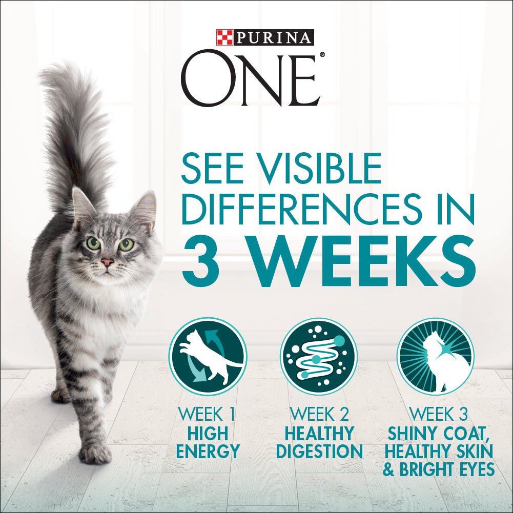 Purina One Urinary Care Chicken Wet Cat Food - PetPost Australia