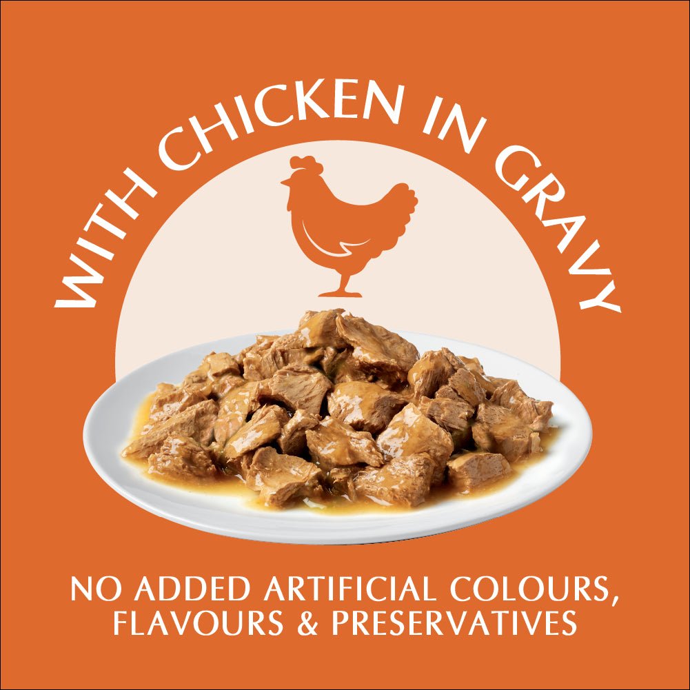 Purina One Urinary Care Chicken Wet Cat Food - PetPost Australia