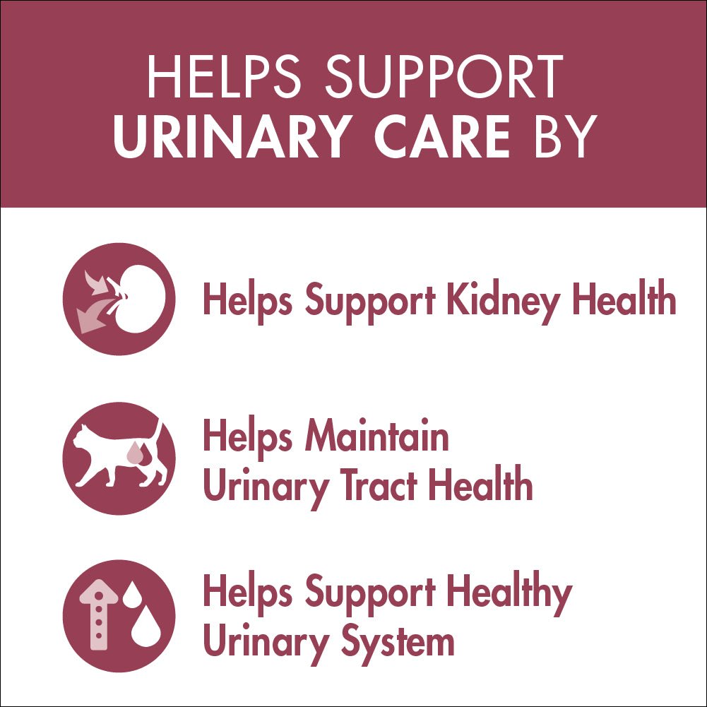 Purina One Urinary Care Chicken Wet Cat Food - PetPost Australia