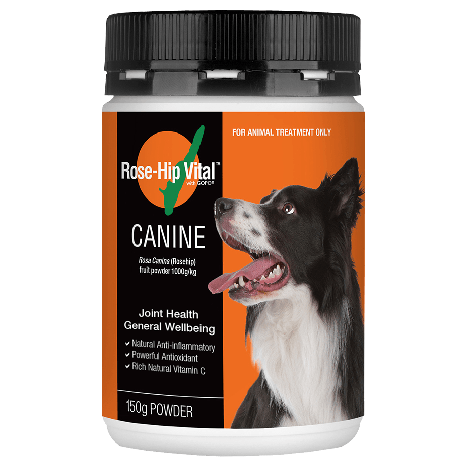 Rose-Hip Vital Joint Formula for Dogs - PetPost Australia