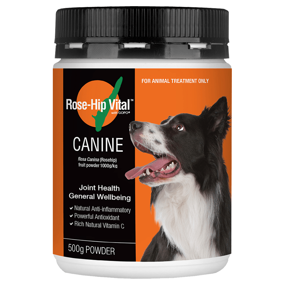 Rose-Hip Vital Joint Formula for Dogs - PetPost Australia