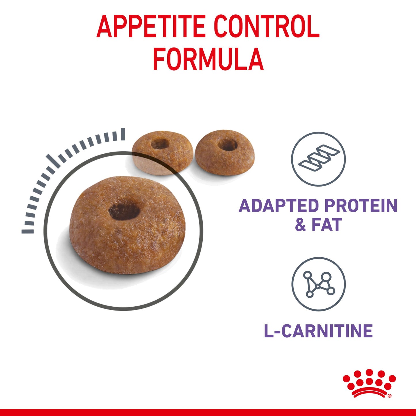 Royal Canin Appetite Control Adult Dry Cat Food - PetPost Australia