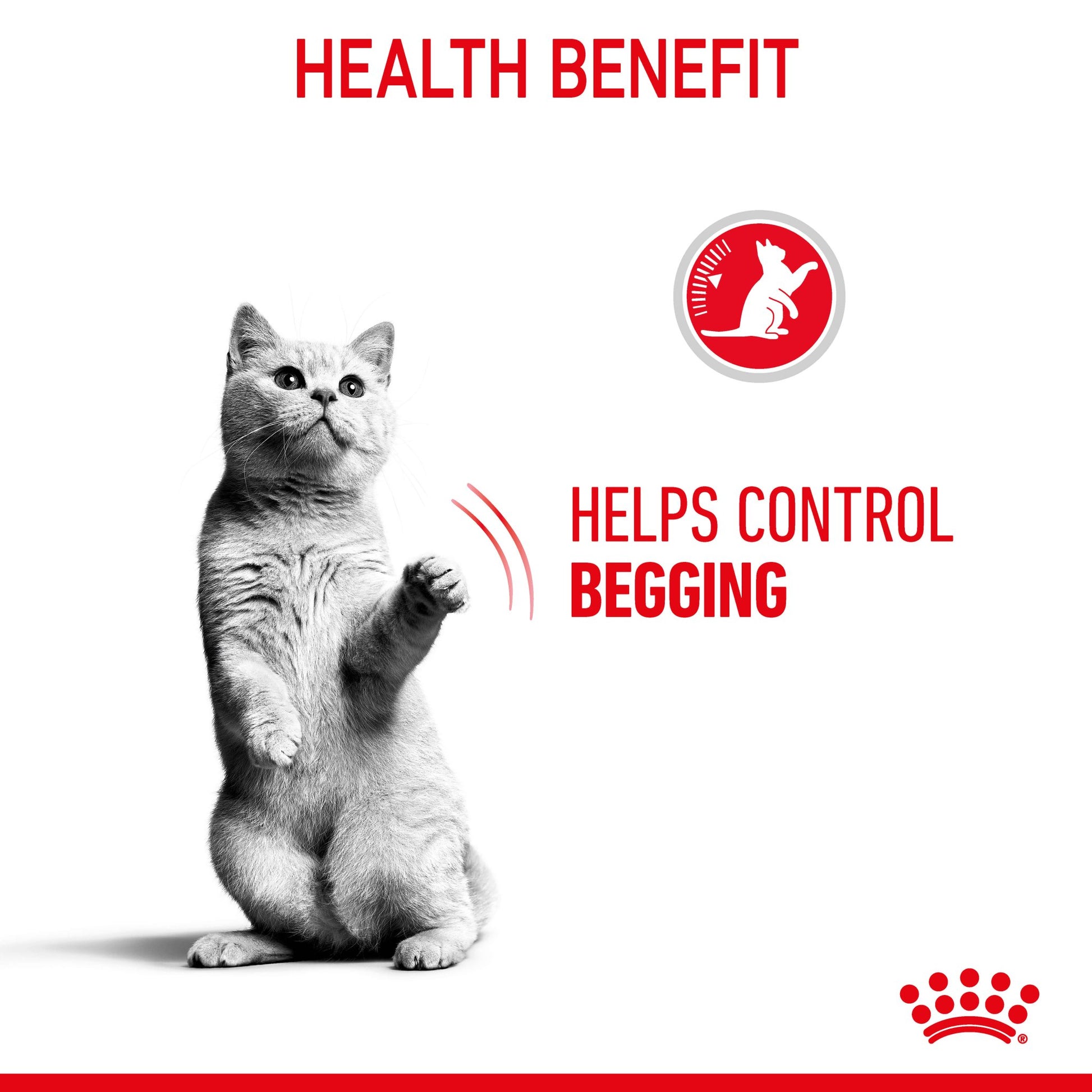 Royal Canin Appetite Control Gravy Adult Wet Cat Food Pouches - PetPost Australia