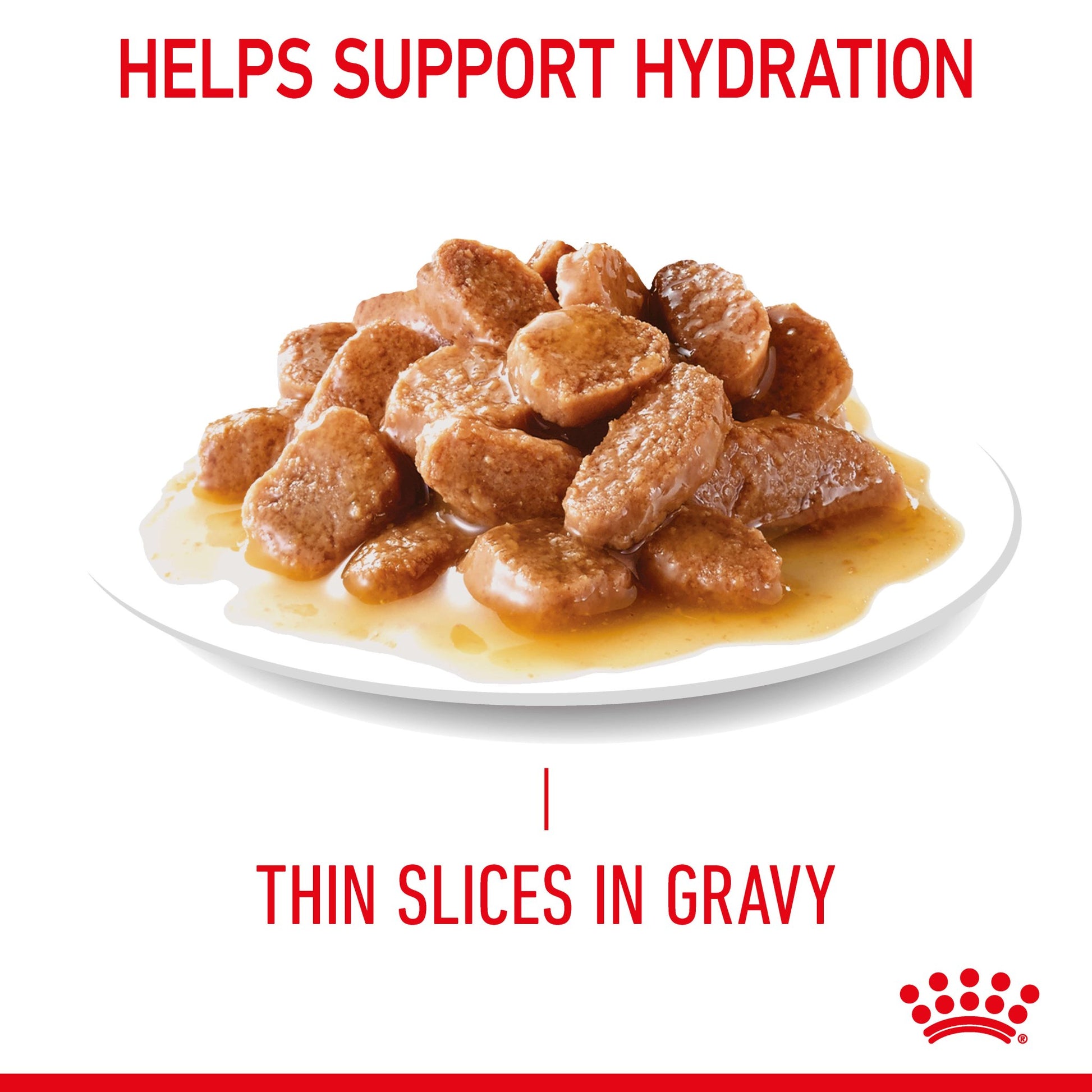 Royal Canin Appetite Control Gravy Adult Wet Cat Food Pouches - PetPost Australia