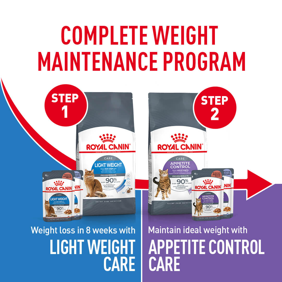 Royal Canin Appetite Control Jelly Adult Wet Cat Food Pouches - PetPost Australia