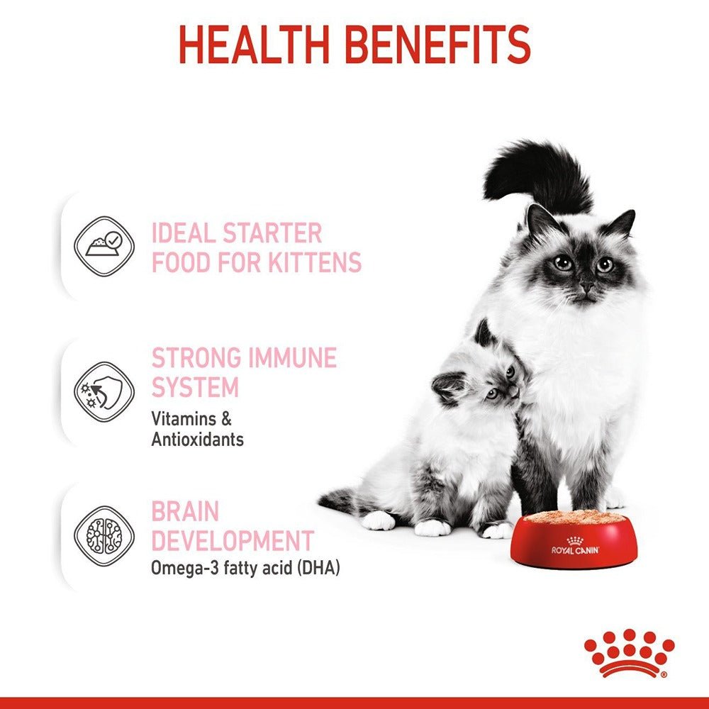 Royal Canin Babycat Instinctive Kitten Wet Cat Food - PetPost Australia