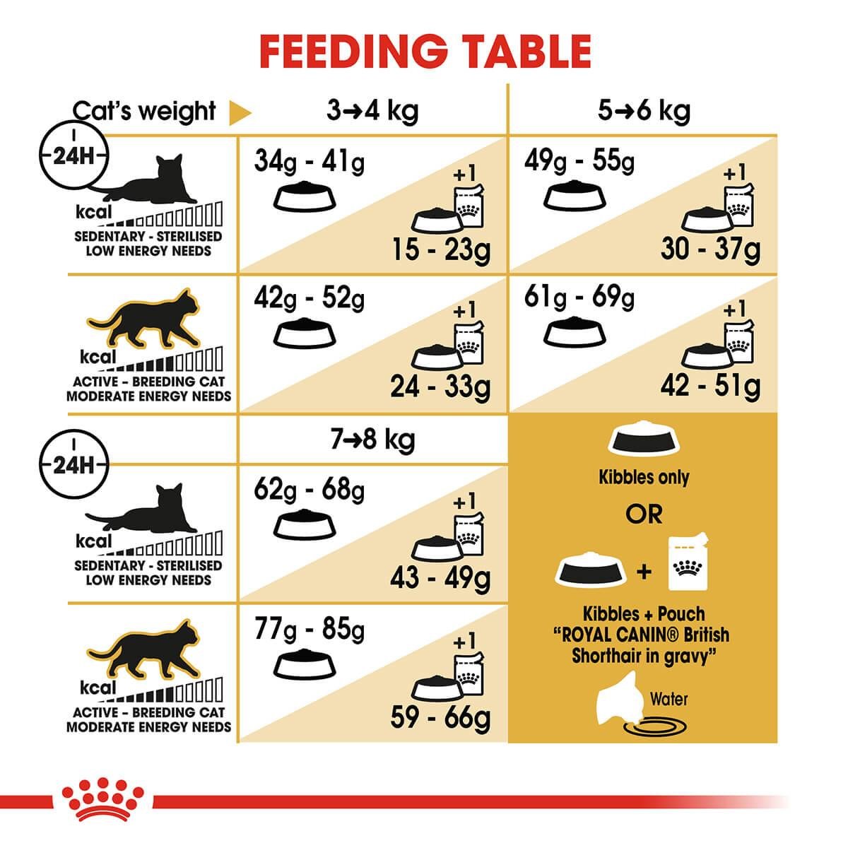 Royal Canin British Shorthair Adult Dry Cat Food - PetPost Australia
