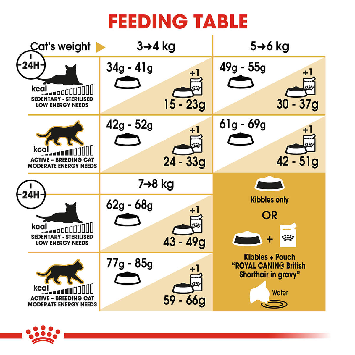 Royal Canin British Shorthair Adult Dry Cat Food - PetPost Australia