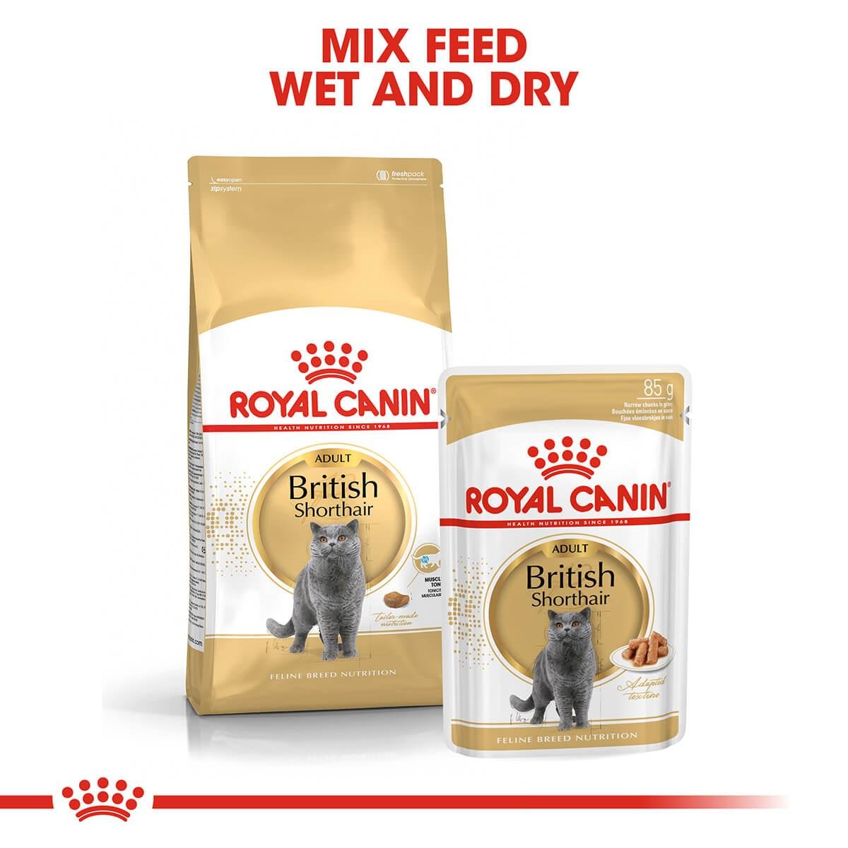 Royal Canin British Shorthair Adult Dry Cat Food - PetPost Australia