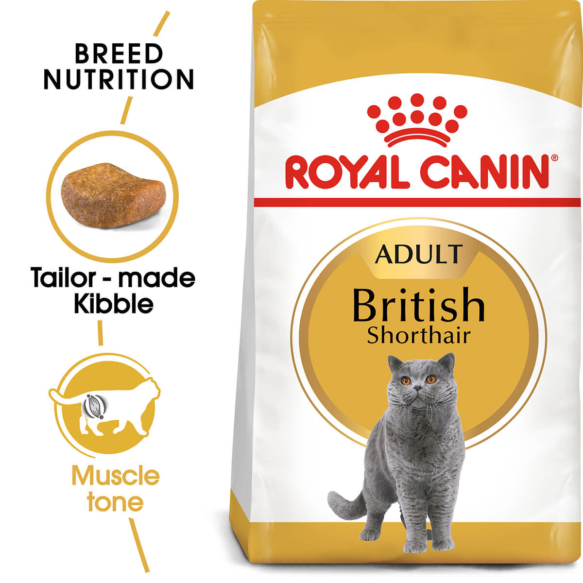 Royal Canin British Shorthair Adult Dry Cat Food - PetPost Australia