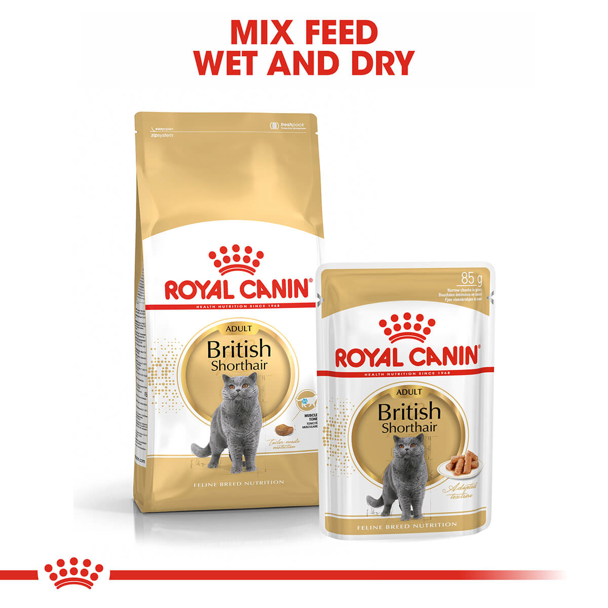 Royal Canin British Shorthair Adult In Gravy Wet Cat Food - PetPost Australia