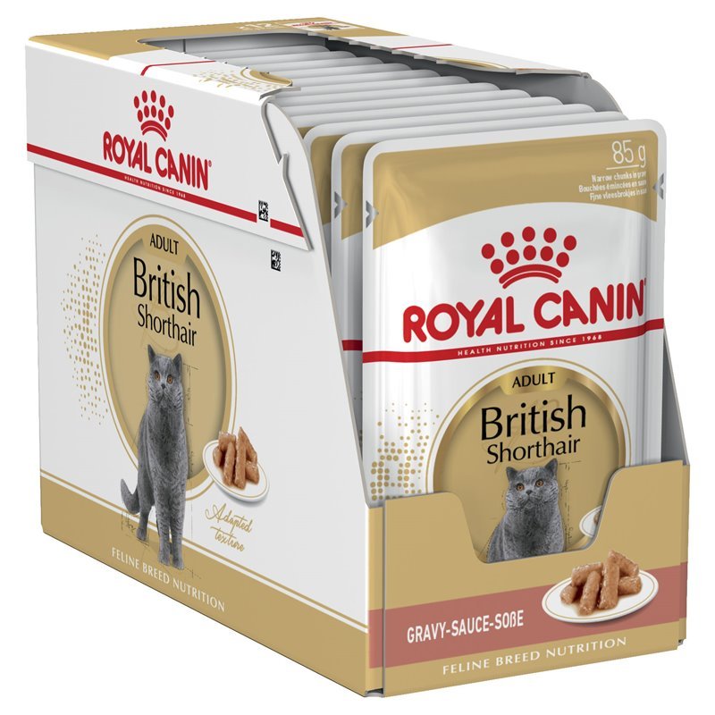Royal Canin British Shorthair Adult In Gravy Wet Cat Food - PetPost Australia