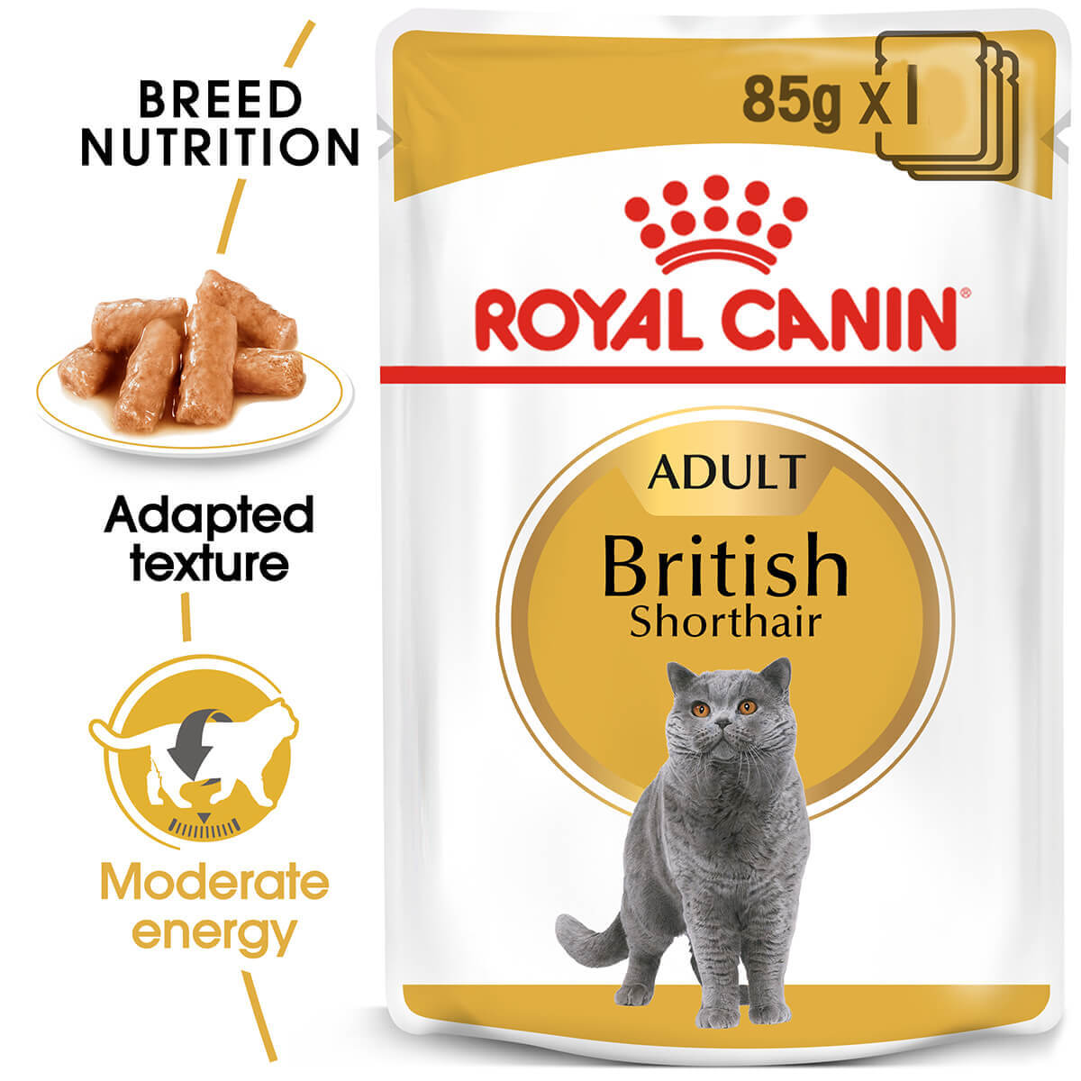 Royal Canin British Shorthair Adult In Gravy Wet Cat Food - PetPost Australia