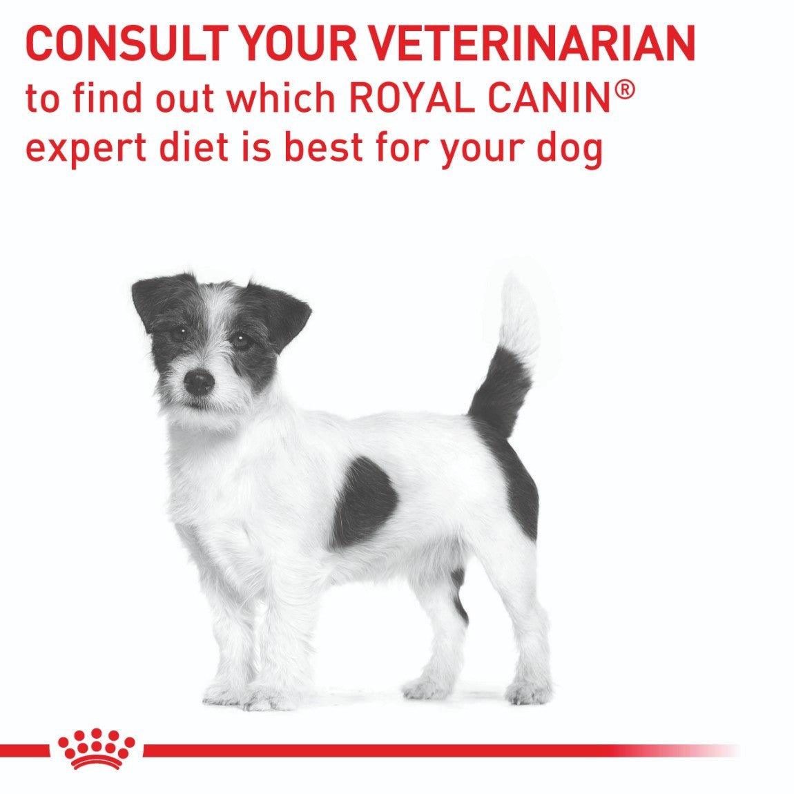 Royal Canin Calm Dog 4kg - PetPost Australia