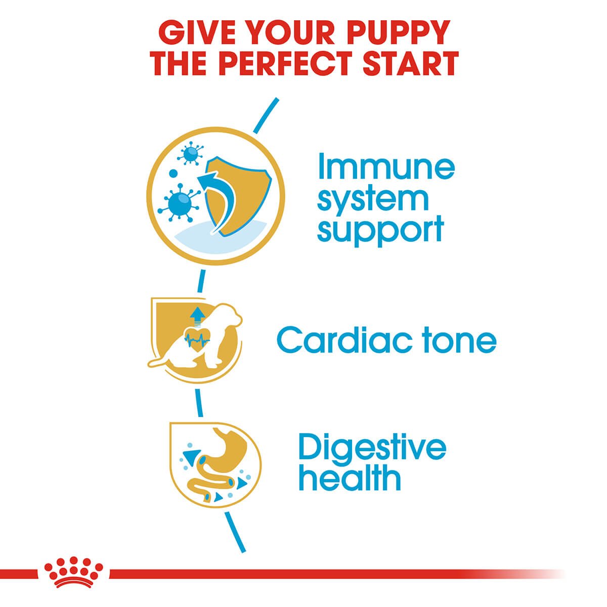 Royal Canin Cavalier King Charles Puppy Dry Dog Food - PetPost Australia