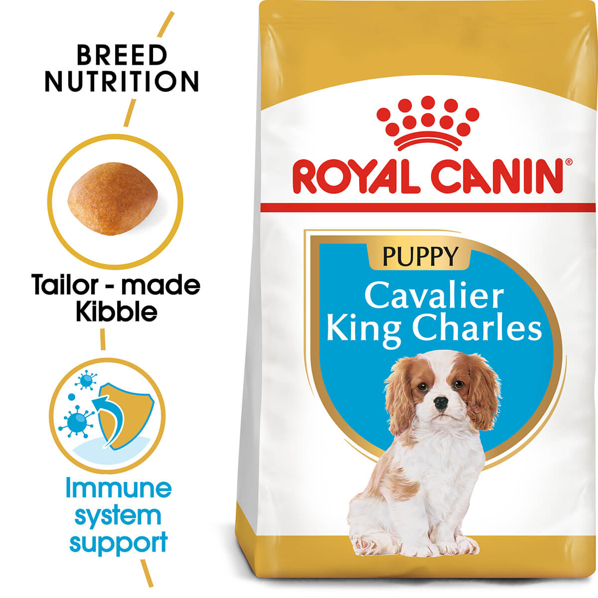 Royal Canin Cavalier King Charles Puppy Dry Dog Food - PetPost Australia