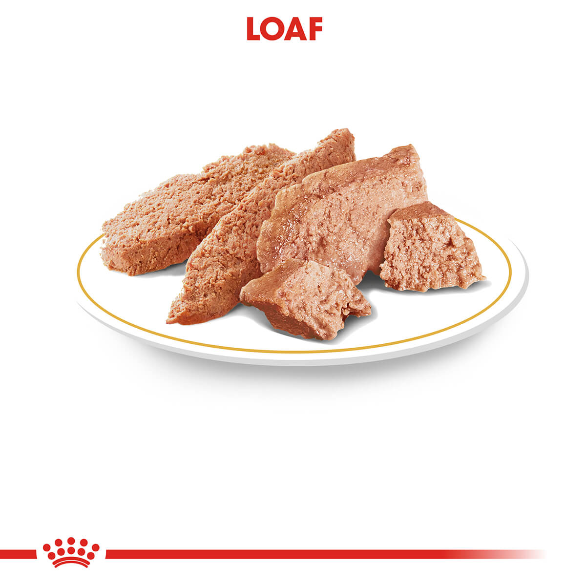Royal Canin Dachshund Adult Wet Dog Food - PetPost Australia
