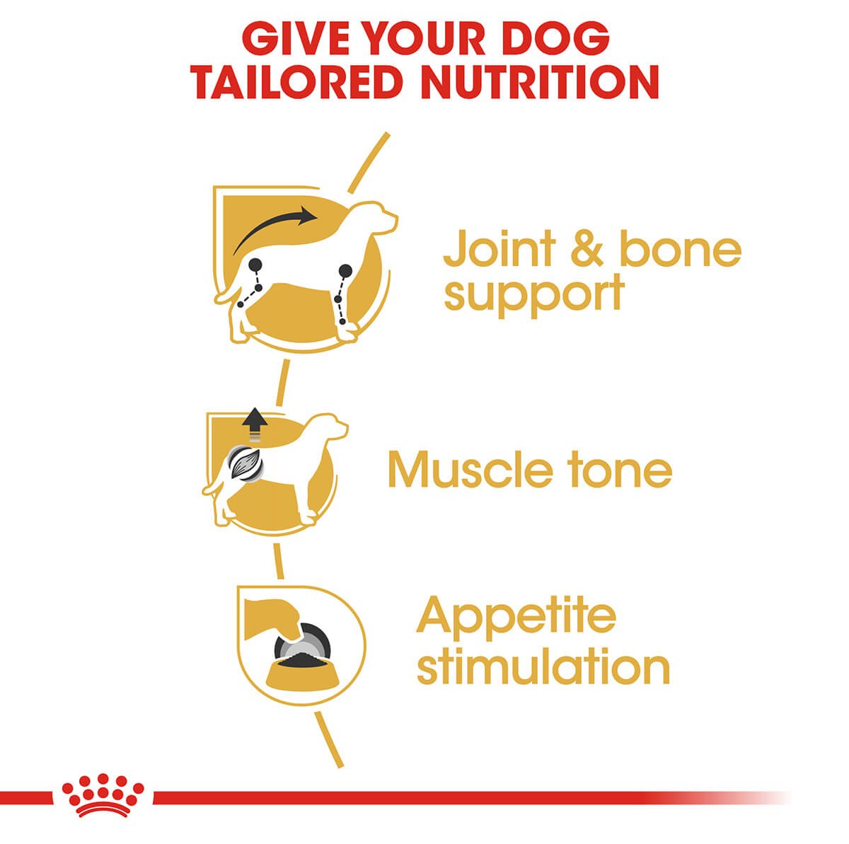 Royal Canin Dachshund Adult Wet Dog Food - PetPost Australia