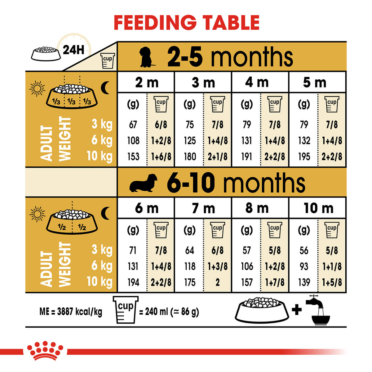 Royal Canin Dachshund Puppy Dry Dog Food - PetPost Australia