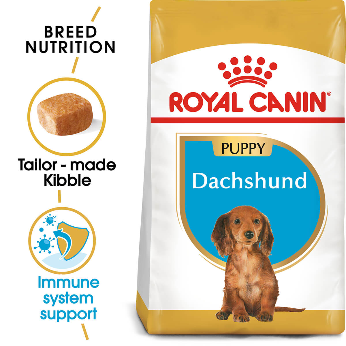 Royal Canin Dachshund Puppy Dry Dog Food - PetPost Australia
