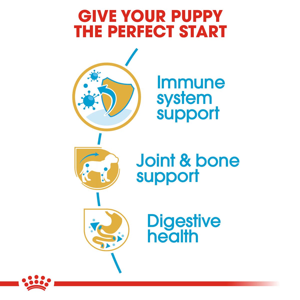 Royal Canin Dachshund Puppy Dry Dog Food - PetPost Australia