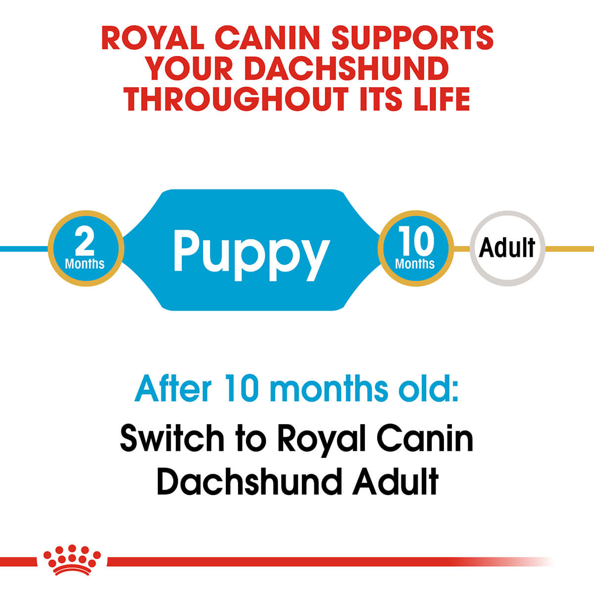 Royal Canin Dachshund Puppy Dry Dog Food - PetPost Australia