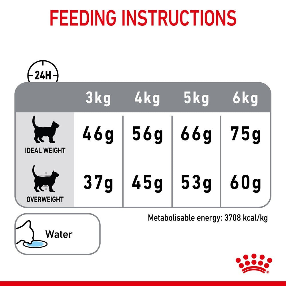 Royal Canin Dental Care Adult Dry Cat Food - PetPost Australia