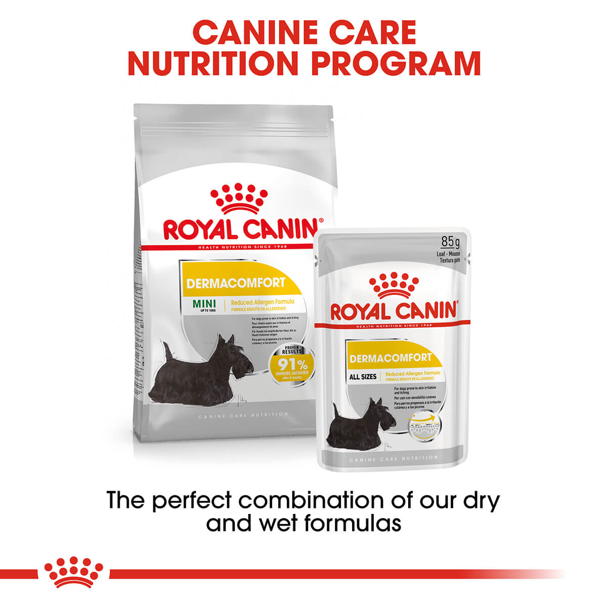 Royal Canin Dermacomfort Adult Loaf Wet Dog Food - PetPost Australia
