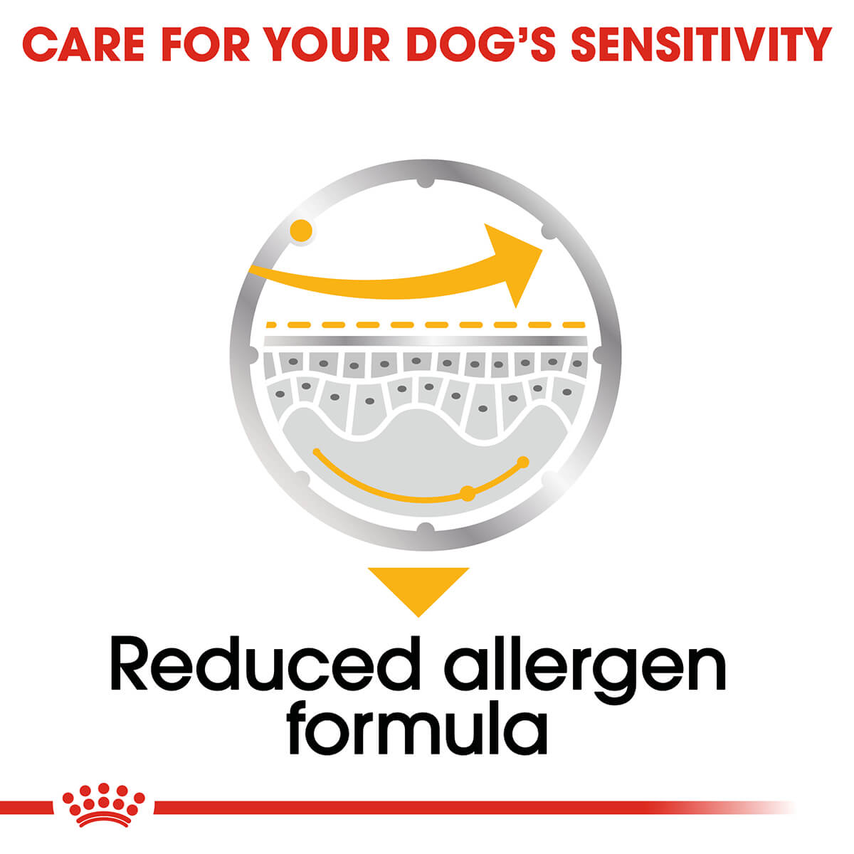 Royal Canin Dermacomfort Adult Loaf Wet Dog Food - PetPost Australia