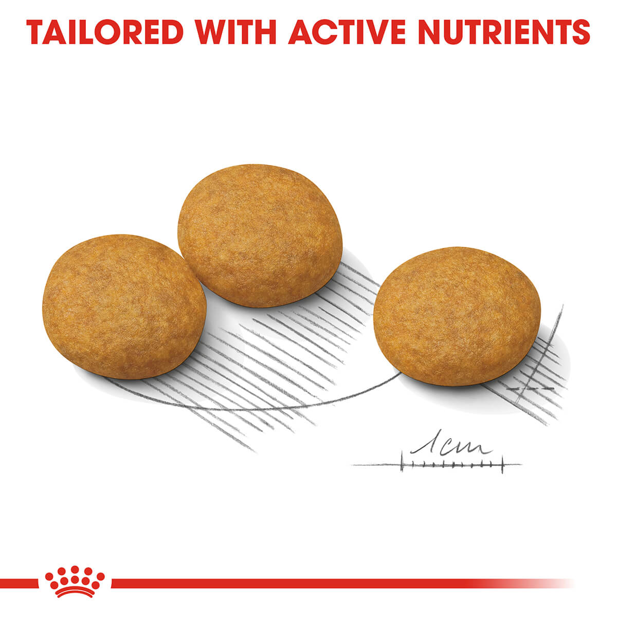 Royal Canin Dermacomfort Medium Adult Dry Dog Food - PetPost Australia