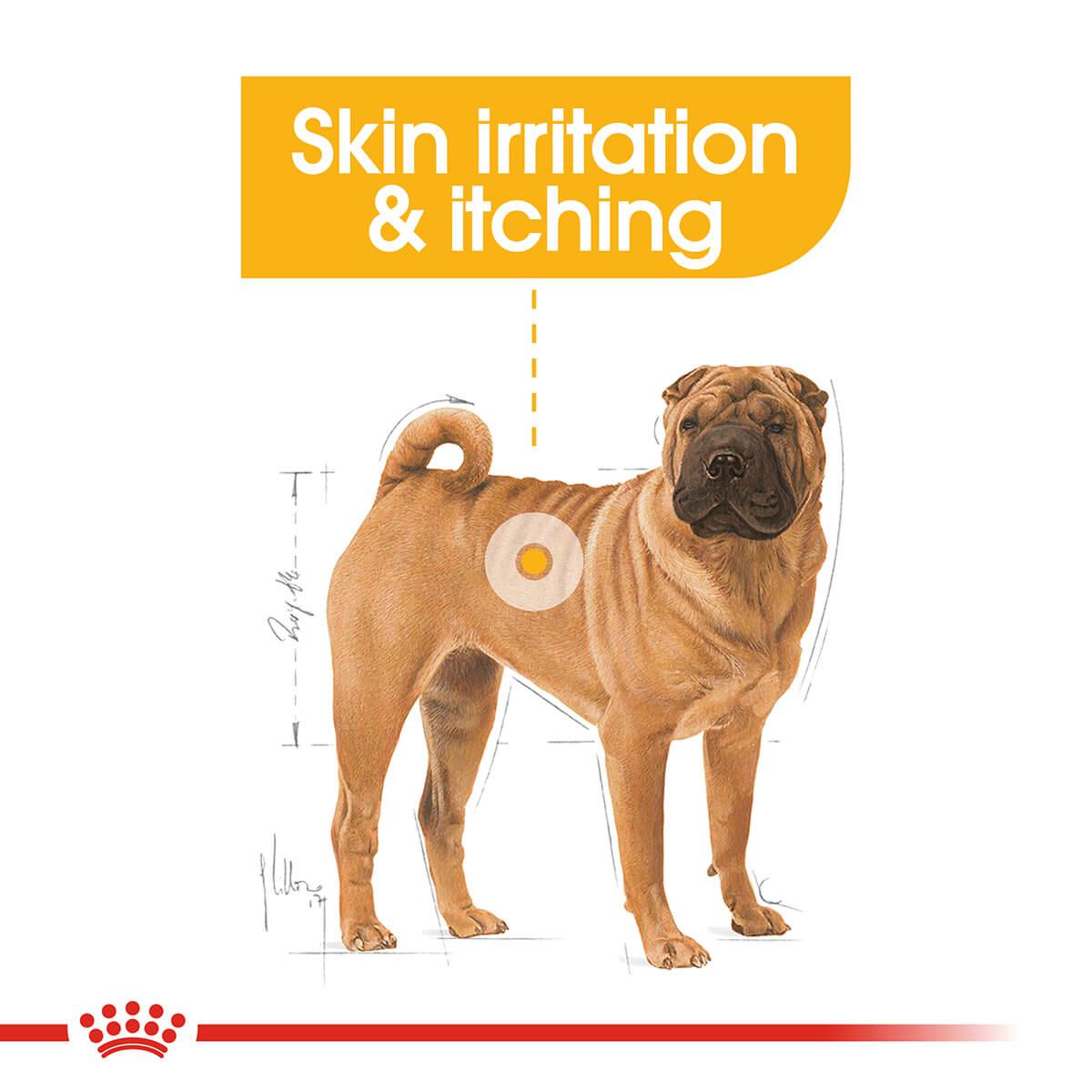 Royal Canin Dermacomfort Medium Adult Dry Dog Food - PetPost Australia
