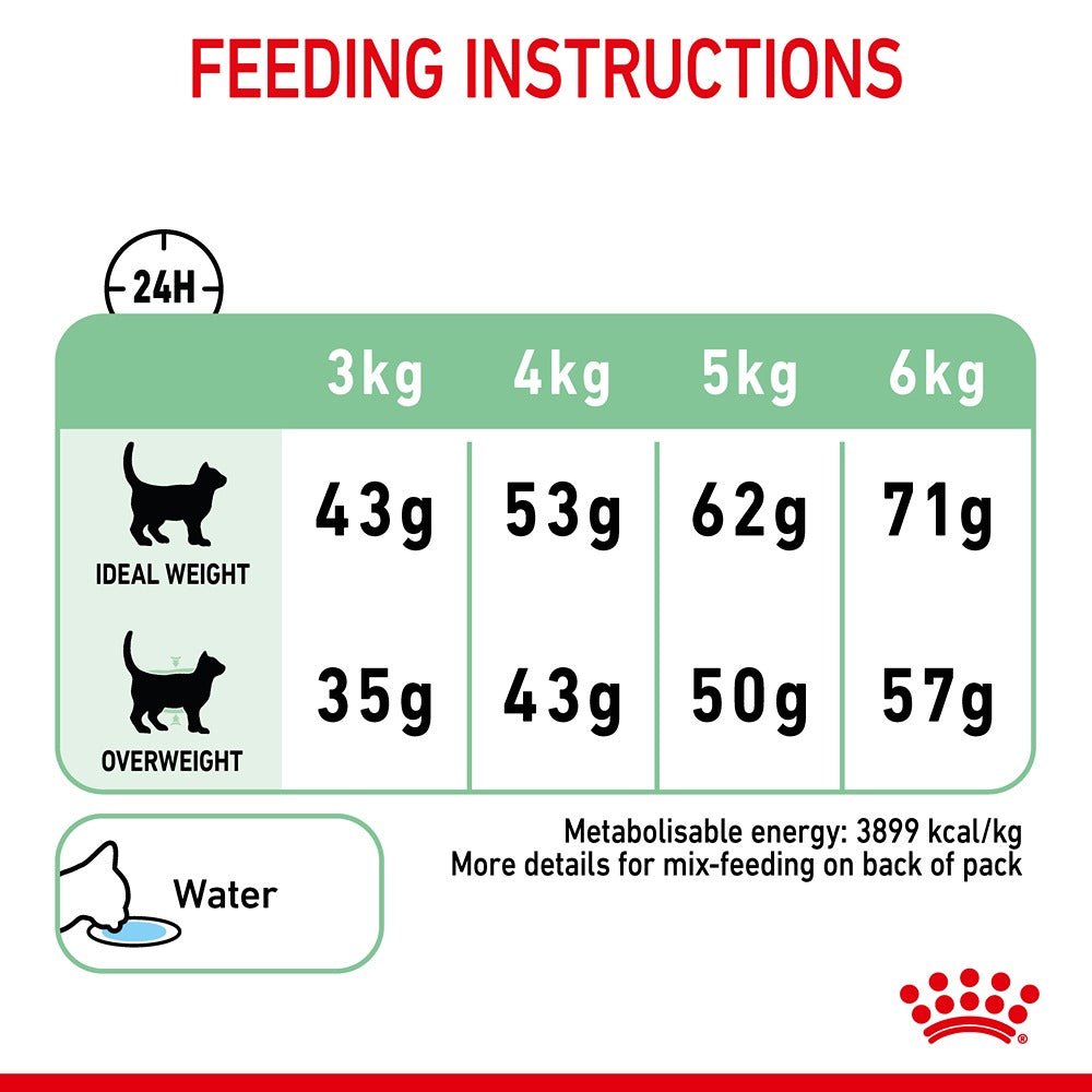 Royal Canin Digestive Care Adult Dry Cat Food - PetPost Australia