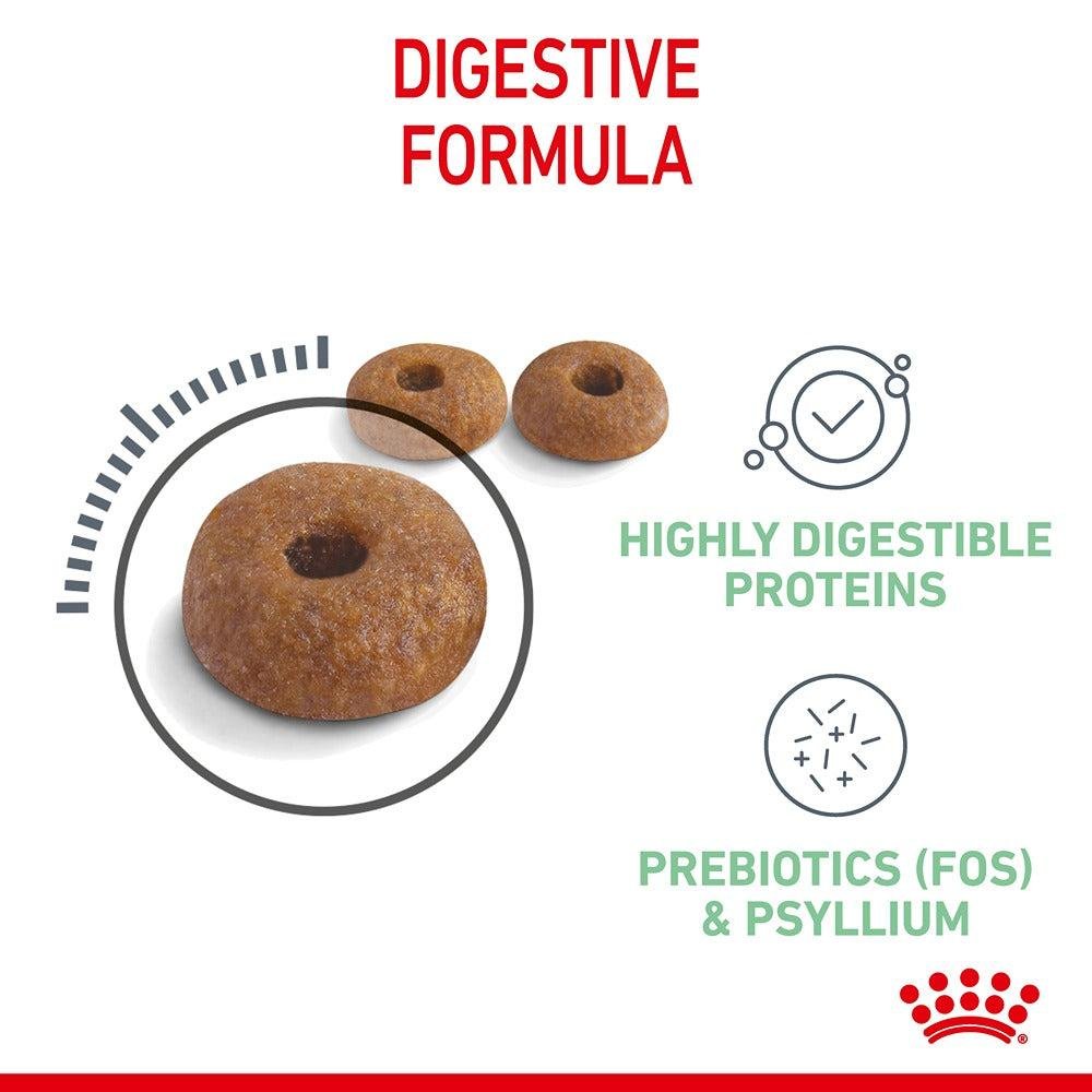 Royal Canin Digestive Care Adult Dry Cat Food - PetPost Australia