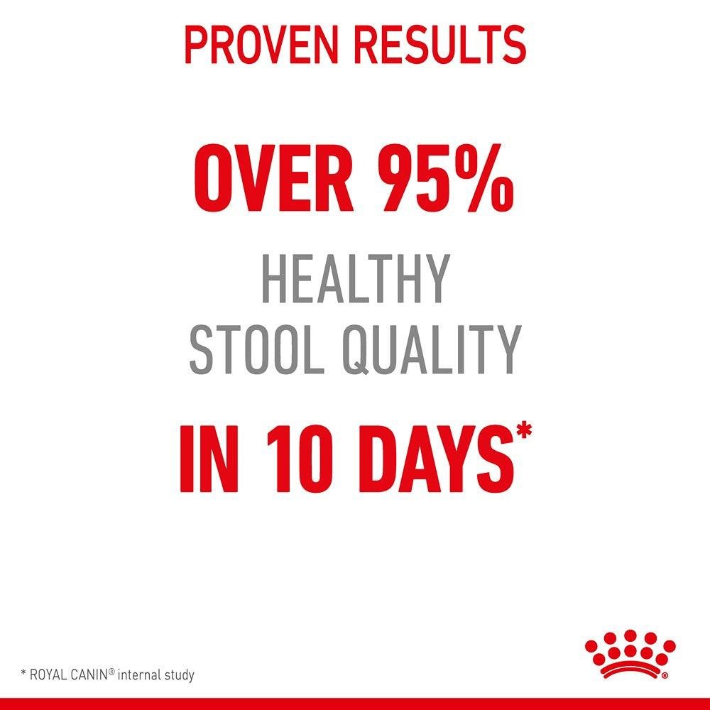 Royal Canin Digestive Care Adult Dry Cat Food - PetPost Australia