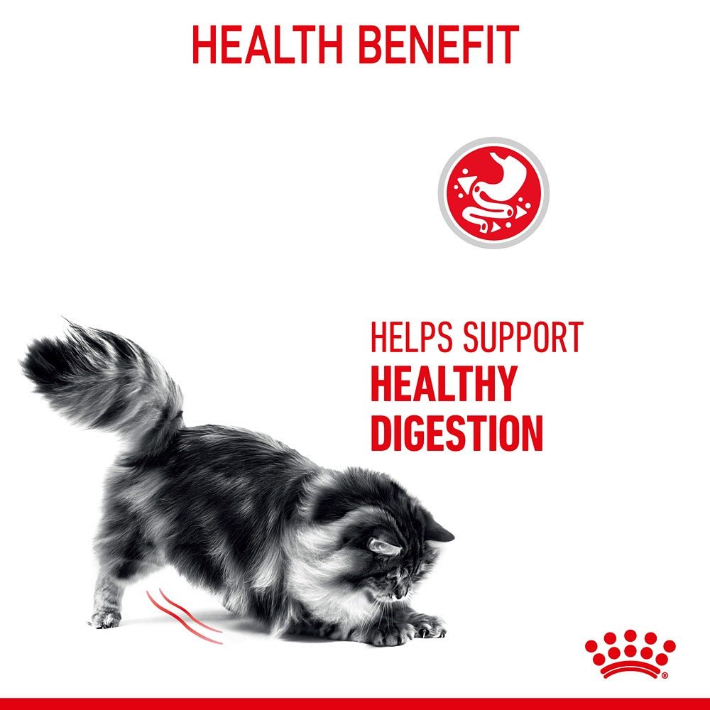Royal Canin Digestive Care Adult Dry Cat Food - PetPost Australia