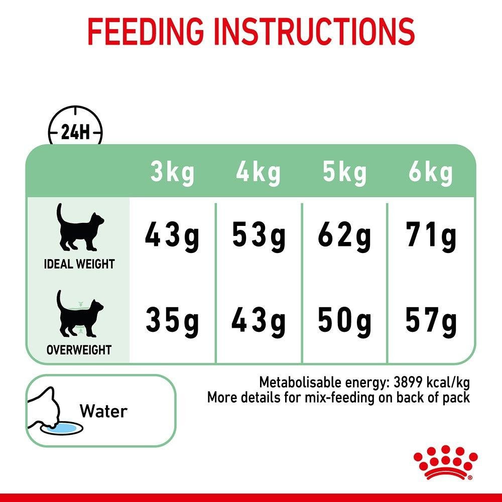 Royal Canin Digestive Care Adult Dry Cat Food - PetPost Australia