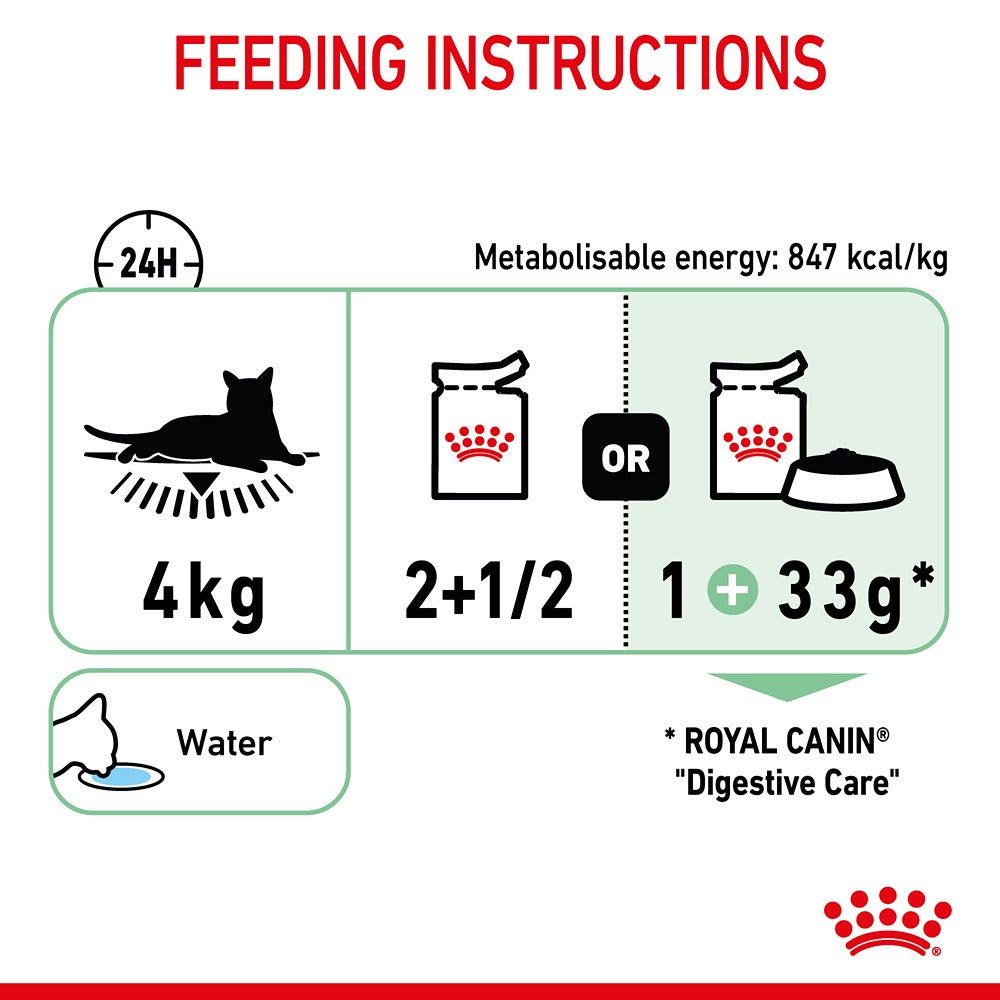 Royal Canin Digestive Care Gravy Adult Wet Cat Food 85g - PetPost Australia