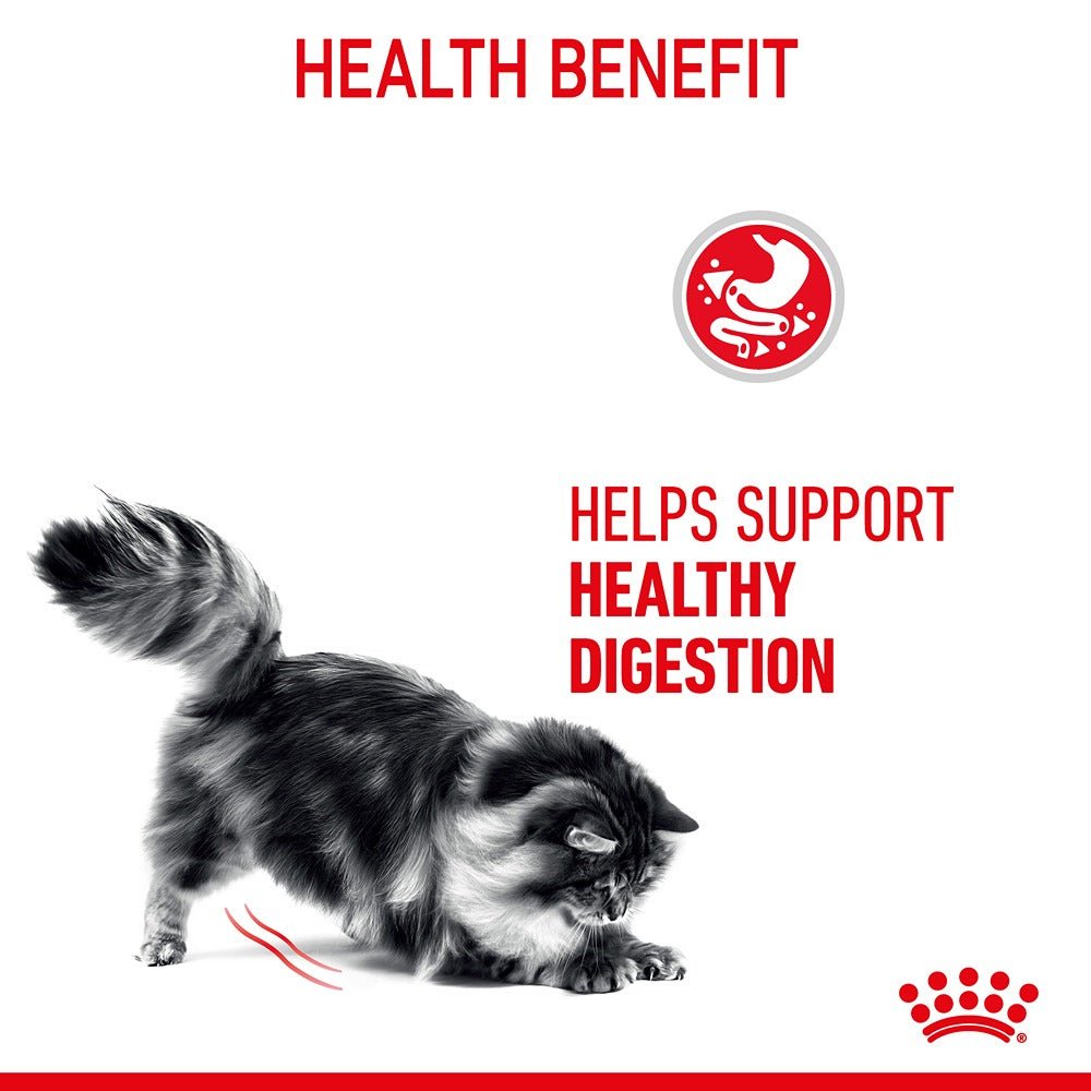 Royal Canin Digestive Care Gravy Adult Wet Cat Food 85g - PetPost Australia